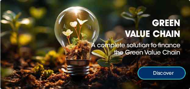green_value_chain