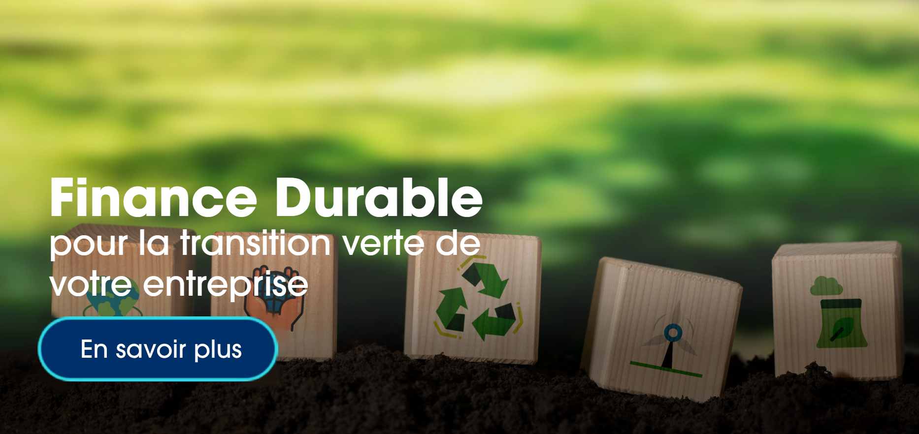 finance_durable